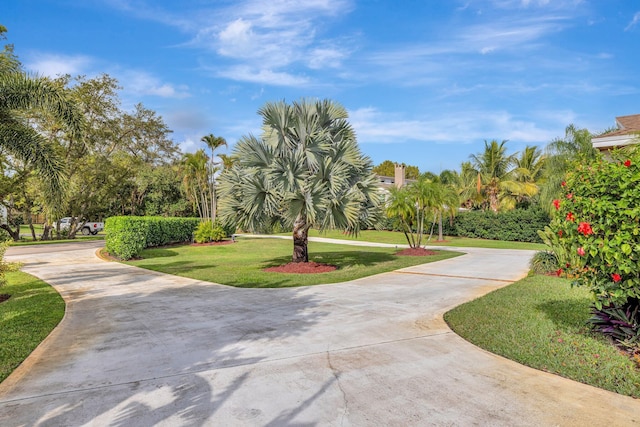 view of property's community featuring a lawn