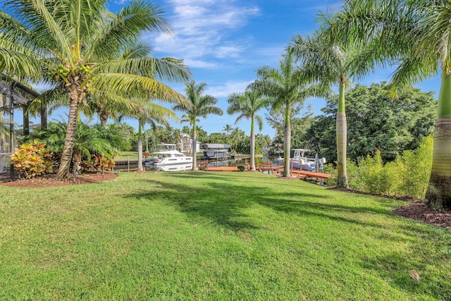 view of yard featuring a dock