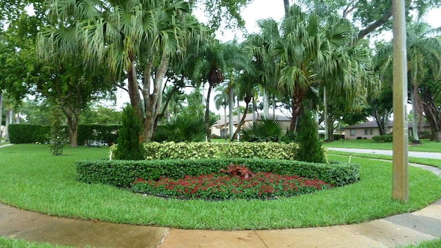 view of home's community featuring a lawn