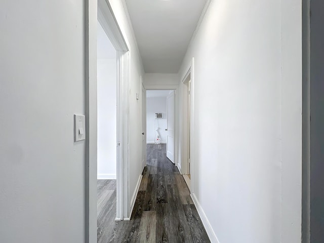 hall featuring dark hardwood / wood-style floors