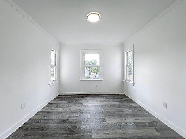 spare room with dark hardwood / wood-style floors and crown molding