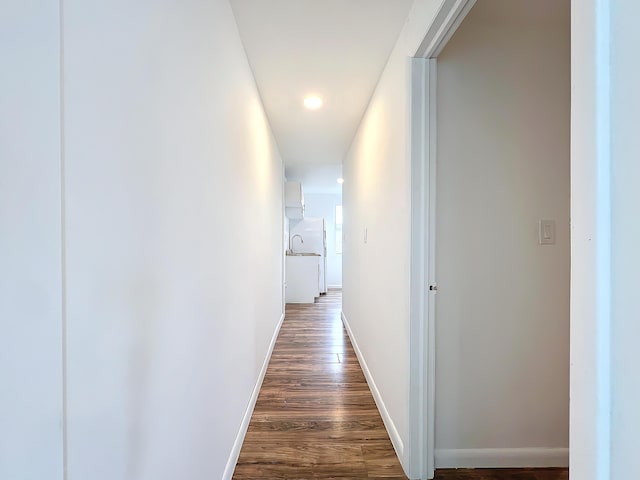 hallway featuring dark hardwood / wood-style flooring