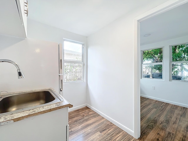 kitchen with dark hardwood / wood-style flooring and sink