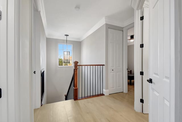 hallway with crown molding and light hardwood / wood-style flooring