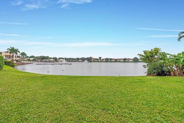 property view of water