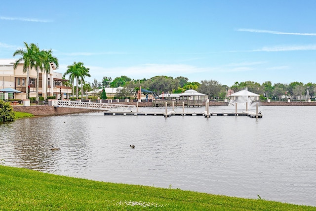 water view with a dock