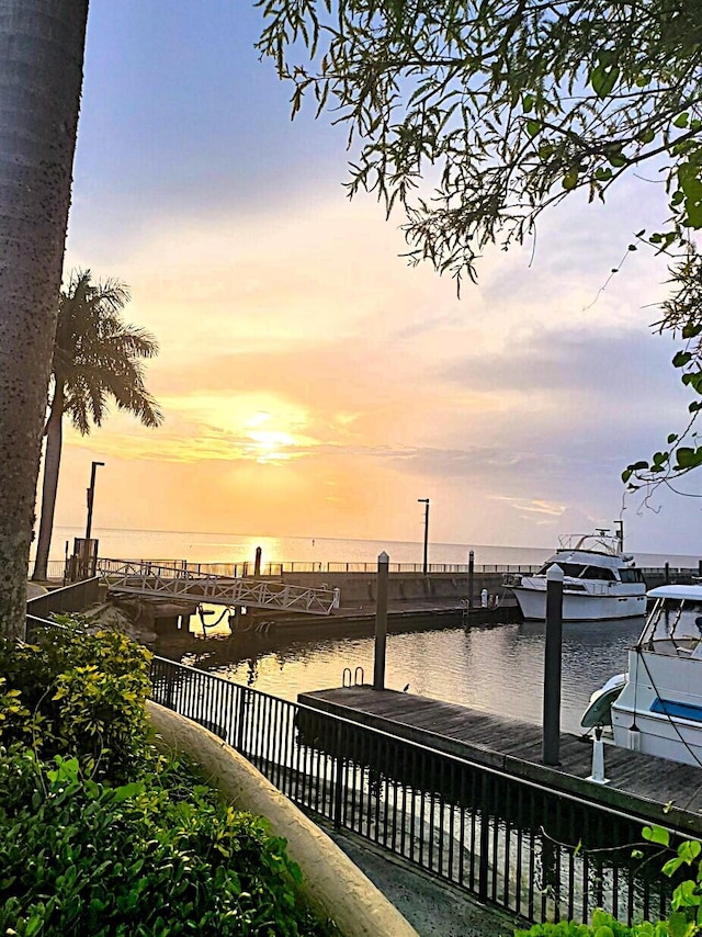 dock area with a water view