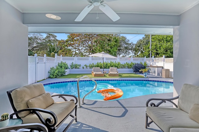 view of swimming pool featuring a patio area, ceiling fan, and a grill