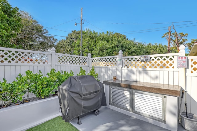 view of patio / terrace with a grill