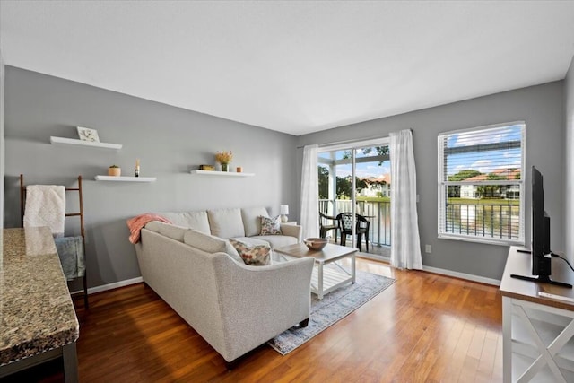 living room with dark wood-type flooring