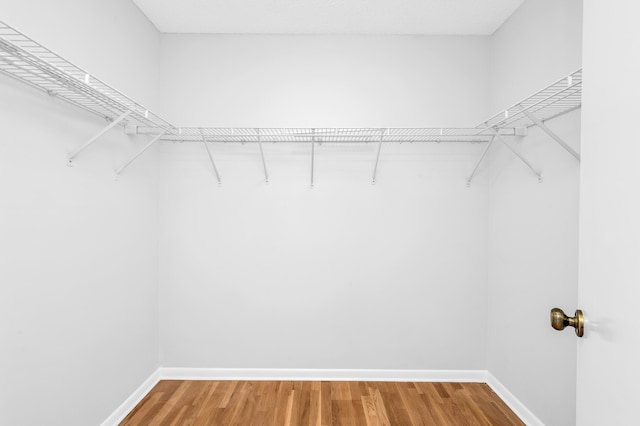 walk in closet featuring hardwood / wood-style floors