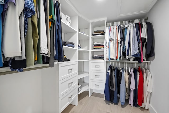 spacious closet featuring light hardwood / wood-style flooring