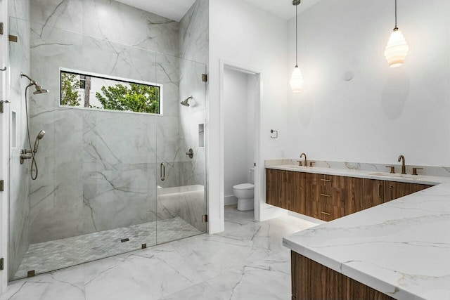 bathroom with vanity, toilet, and walk in shower