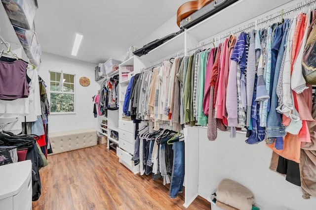 spacious closet with hardwood / wood-style flooring