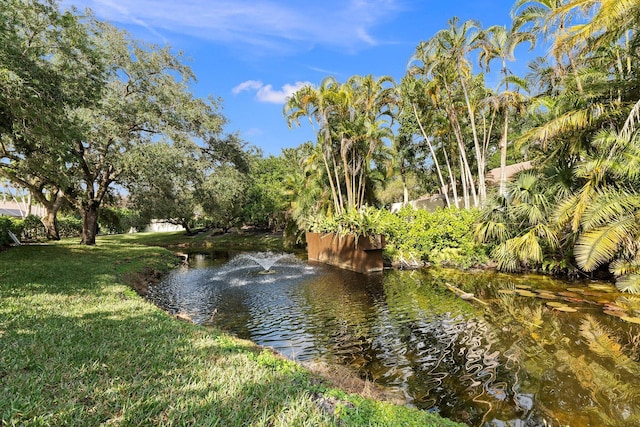 view of water feature