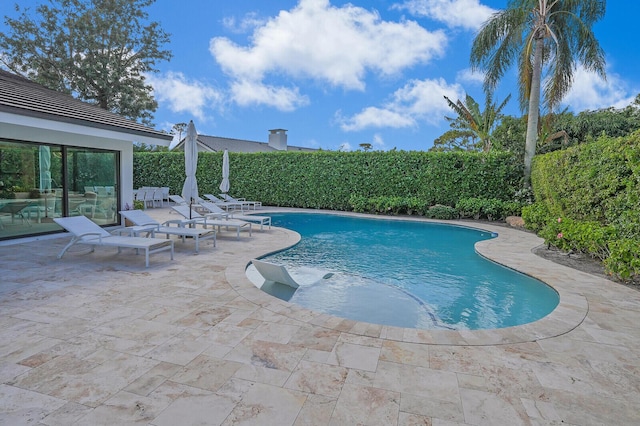 view of pool featuring a patio