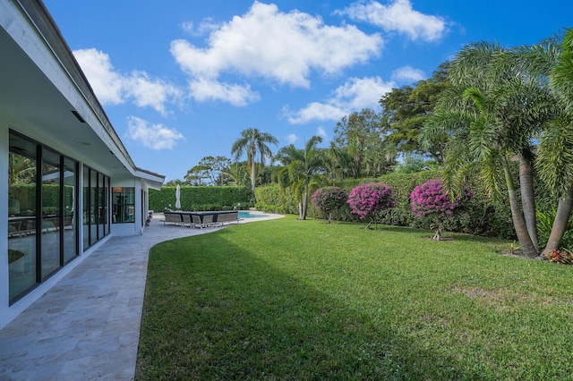 view of yard featuring a patio area and an outdoor pool