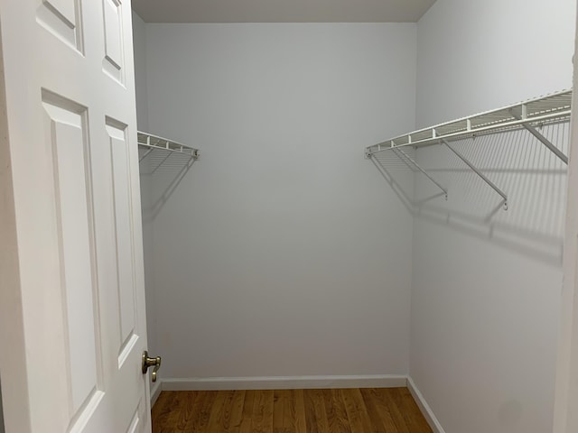 spacious closet with hardwood / wood-style flooring