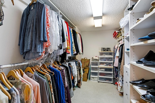 spacious closet featuring carpet