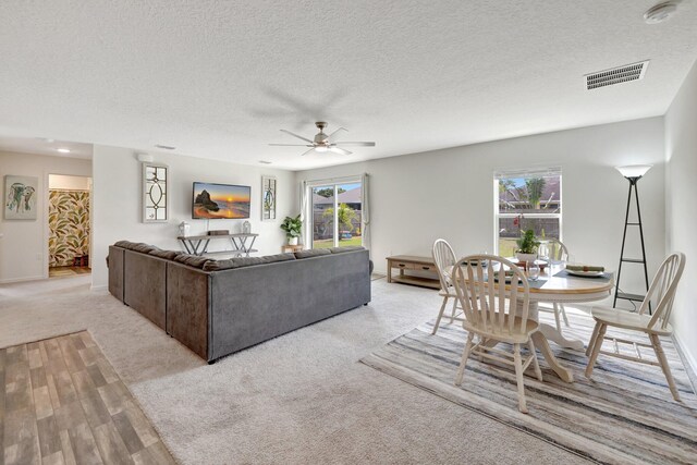 living room with ceiling fan, carpet floors, and a textured ceiling