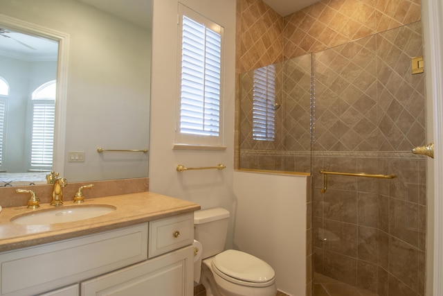 bathroom featuring vanity, toilet, and a shower with shower door