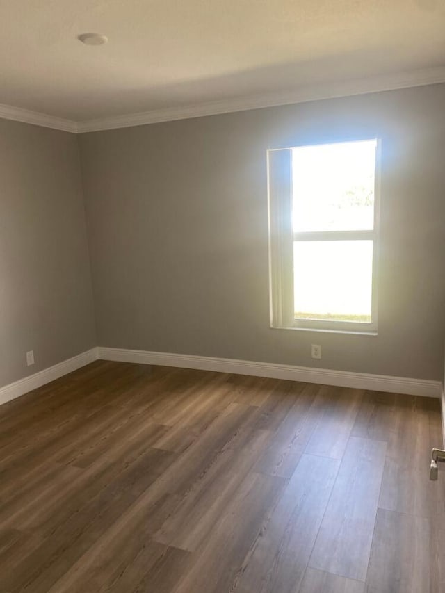 unfurnished room with crown molding and dark wood-type flooring