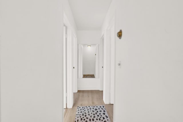 hallway with light wood-type flooring