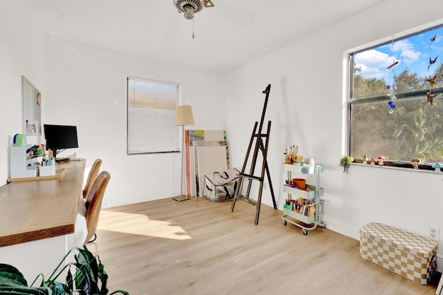 office featuring light hardwood / wood-style floors