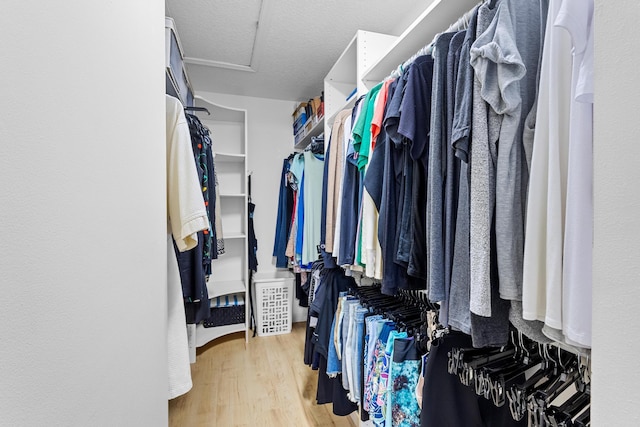 walk in closet with light hardwood / wood-style floors