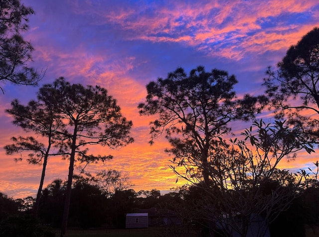 view of nature at dusk