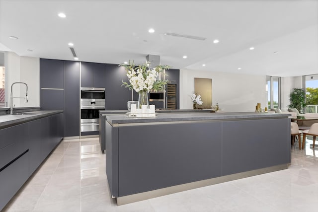 kitchen with gray cabinets, a large island with sink, double oven, expansive windows, and sink