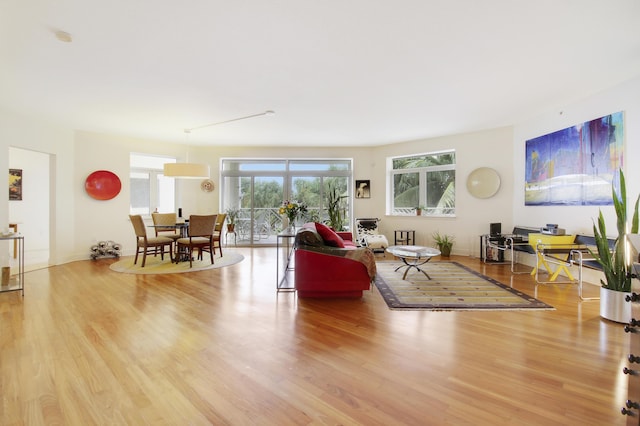 living room featuring hardwood / wood-style floors