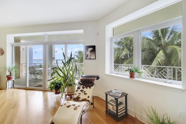 living area featuring hardwood / wood-style floors and plenty of natural light