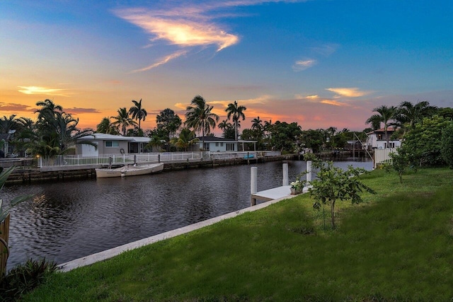 water view featuring a boat dock