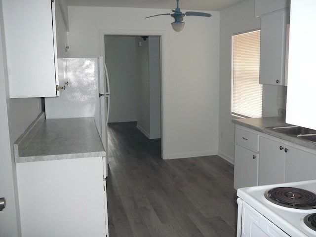 kitchen with white cabinetry, sink, ceiling fan, dark wood-type flooring, and white fridge