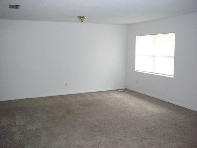 spare room with carpet floors