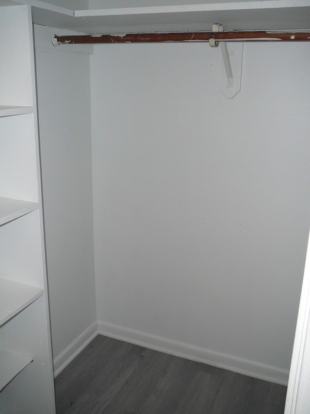 spacious closet featuring dark wood-type flooring