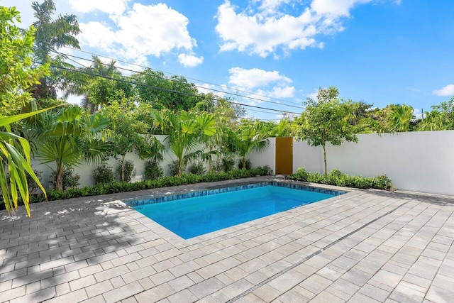 view of swimming pool featuring a fenced in pool, a fenced backyard, and a patio area