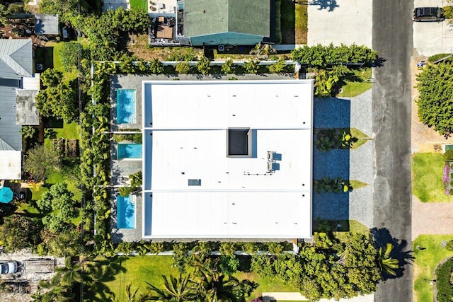 bird's eye view