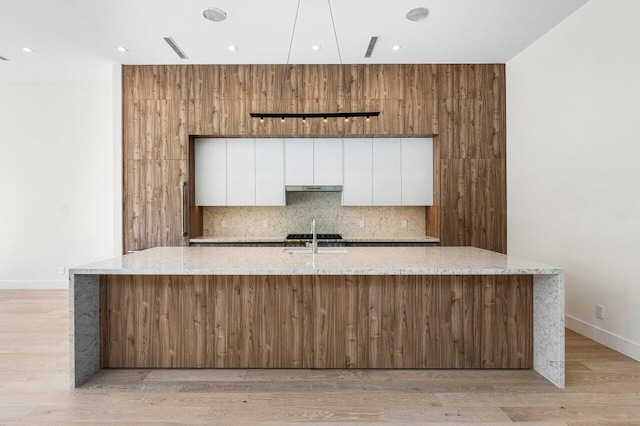 kitchen featuring under cabinet range hood, white cabinetry, modern cabinets, and light wood-style floors