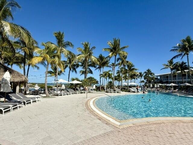 view of pool featuring a patio area