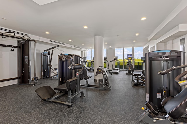 exercise room featuring a wall of windows