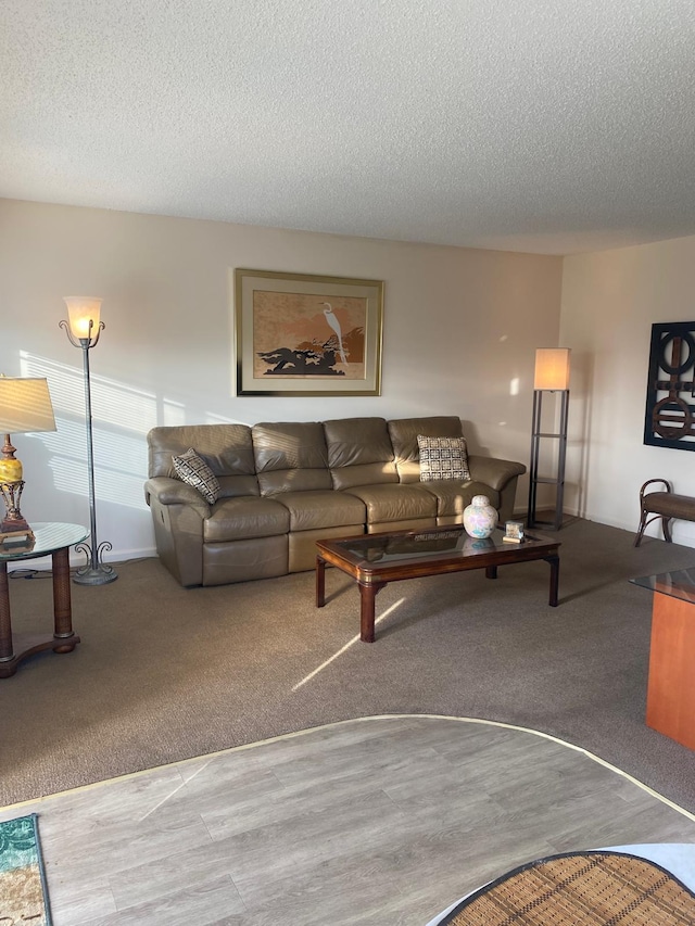 carpeted living room with a textured ceiling