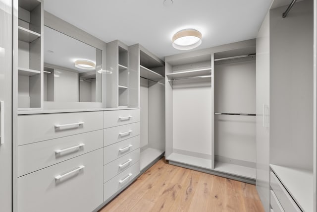 walk in closet featuring light hardwood / wood-style floors