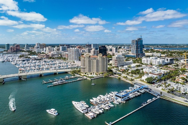 bird's eye view with a water view