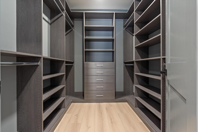 spacious closet featuring wood-type flooring