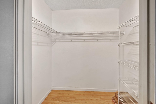 walk in closet featuring hardwood / wood-style floors