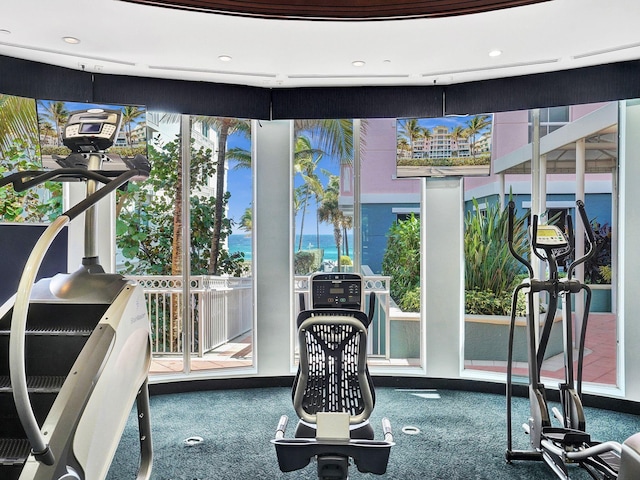 exercise room featuring carpet flooring and a healthy amount of sunlight