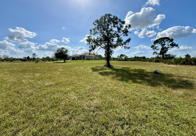 view of yard with a rural view