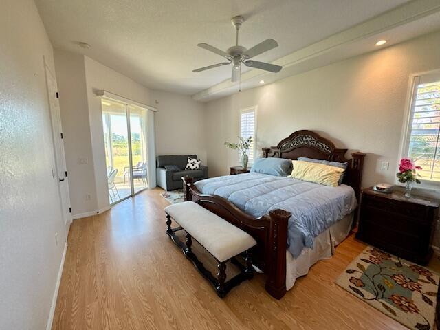 bedroom featuring access to outside, multiple windows, ceiling fan, and light wood-type flooring